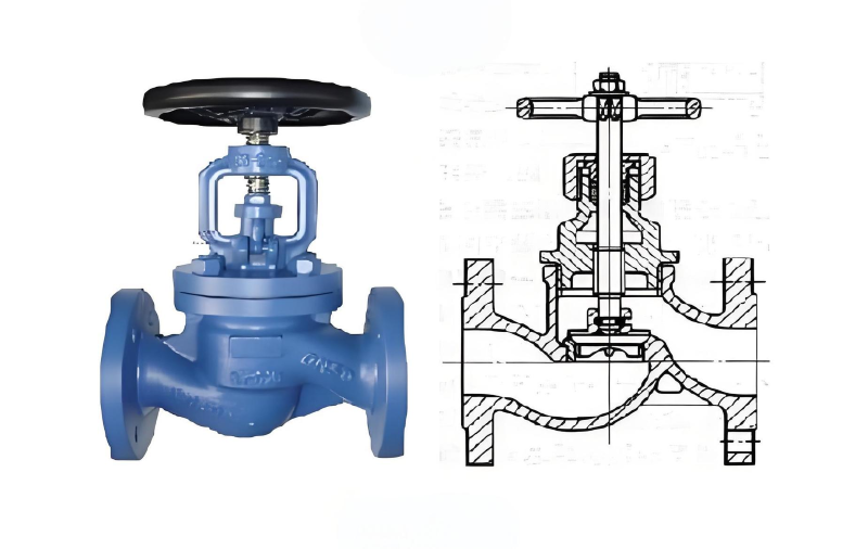 globe valve