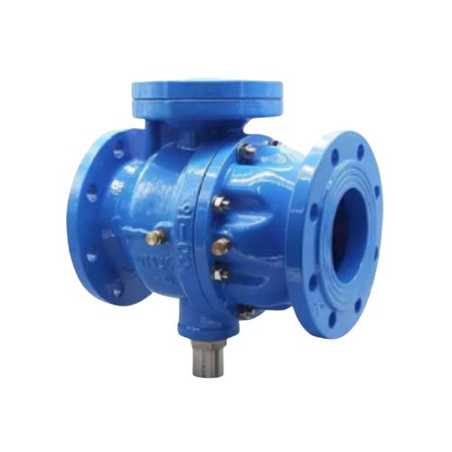 Backflow Preventer 3