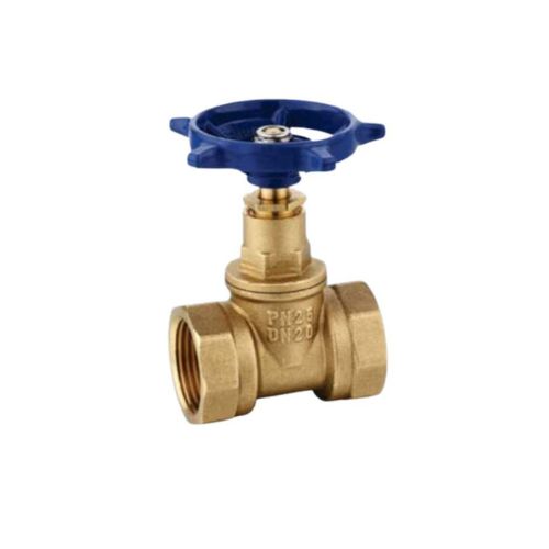 Brass Globe Valve